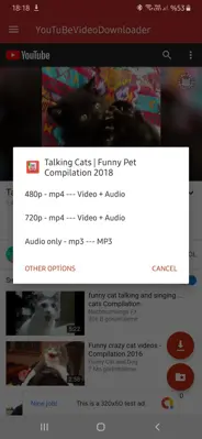 YouTube Video Downloader android App screenshot 3